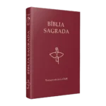 biblia_sagrada_traducao_oficial_6a_edicao_1899_1_11e6815840a3f5bf7c42f9c101ae6c60